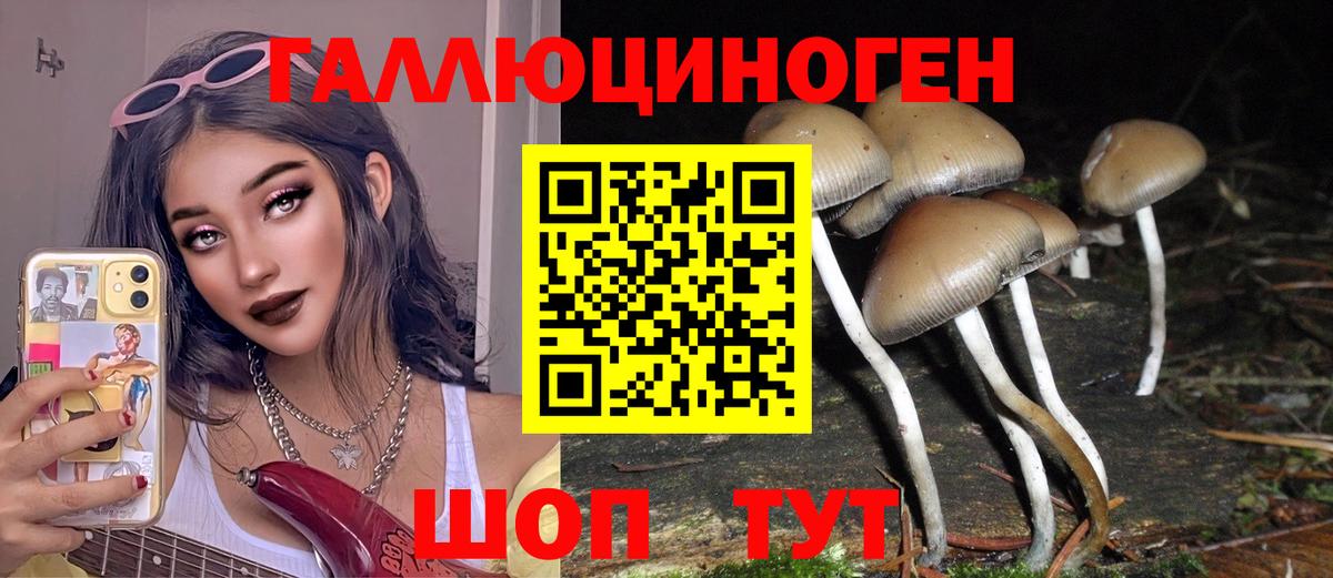 Ишимбай  Псилоцибиновые грибы мицелий  Псилоцибиновые грибы Psilocybine cubensis  Вход с VPN 